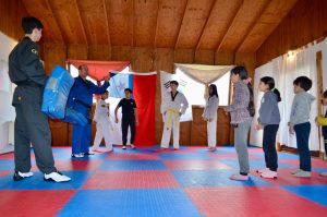 clases de Taekwondo en Pucón